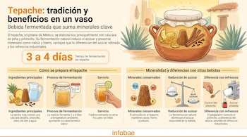 Infografía con ilustraciones de piña, piloncillo, agua, una olla de fermentación, un vaso de tepache, minerales e información sobre la bebida.