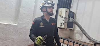 El ejemplar fue capturado por