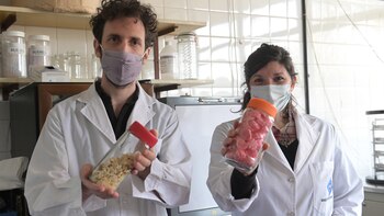 Ciencia nacional: premiaron dos investigaciones