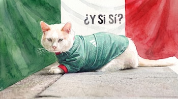 Un gato blanco con ojos verdes y bigotes viste una camiseta verde con detalles en rojo, tumbado frente a una bandera de México con el texto "¿Y Si Sí?".