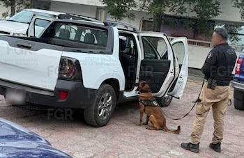 Capturan a dos personas con más de 100 kilos de cocaína en Tamaulipas