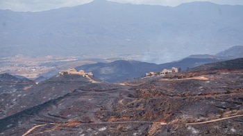 El incendio de Los Gallardos se estanca y ofrece una "perspectiva favorable" para su estabilización