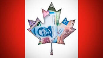 Estos son los cambios en el valor del dólar canadiense en México de hoy (Jovani Pérez/Infobae)
