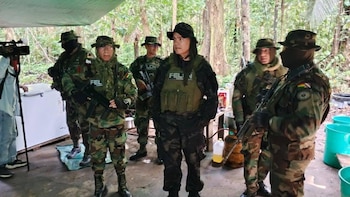 Bolivia confiscó de 300 kilos de droga durante operativos simultáneos y destruyó fábricas de cocaína: hay 2 detenidos