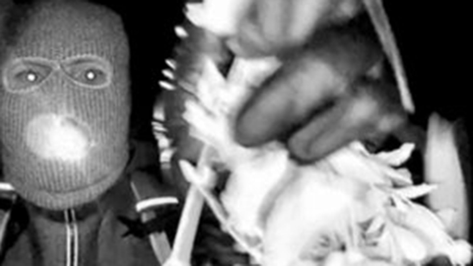 El ADN hallado y las imágenes de un sospechoso encapuchado no han permitido esclarecer qué ocurrió la noche de la desaparición (FBI)