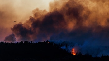 incendio forestal Aspen Acres