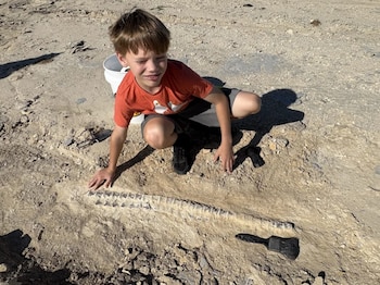 Un niño agachado en tierra árida toca un gran fósil de columna vertebral expuesto en el suelo, con herramientas de excavación y un cubo blanco cerca