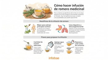 Infografía que muestra cómo hacer infusión de romero medicinal. Incluye ilustraciones de romero, una taza de té, una tetera, órganos internos y pasos detallados.
