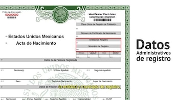 Documento oficial de Acta de Nacimiento de México, con campos para datos personales y de registro, y recuadro rojo sobre entidad y municipio de registro