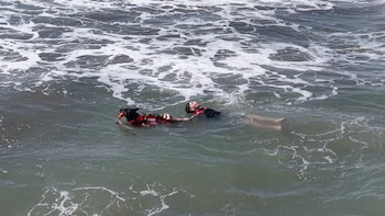 Las emocionantes demostraciones de rescate