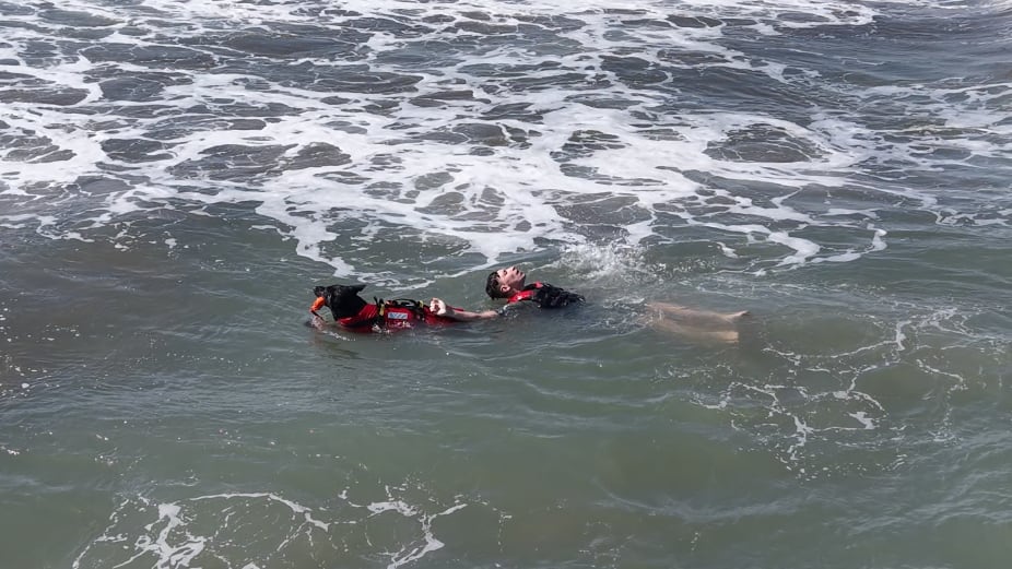 Las emocionantes demostraciones de rescate acuático de perros entrenados y guardavidas en Cariló