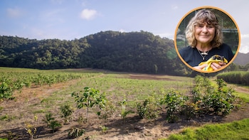 Compró un campo y plantó 119.000 árboles: 10 años después se convirtió en una selva y regresaron animales que no se veían hacía décadas