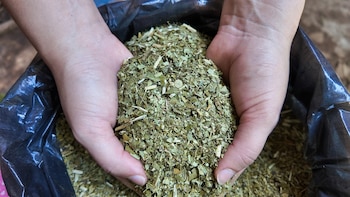 Desde la perspectiva de la cadena de abastecimiento, el cambio permite una mayor correspondencia entre el volumen que se proyecta comercializar, la cantidad de envases preparados y las estampillas necesarias para su distribución (Foto: Shutterstock)