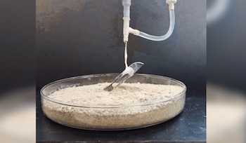 Las fibras sintéticas pueden capturar