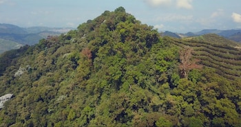 24/09/2026 Área de biodiversidad en Caldas, Colombia (Archivo: Invesmar)
ECONOMIA SUDAMÉRICA COLOMBIA EMPRESAS
Invesmar