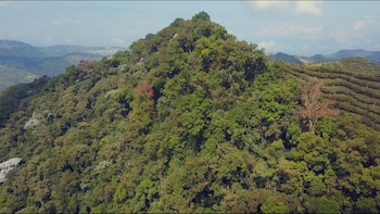 COMUNICACIÓN: Invesmar consolida su inversión sostenible y afianza el modelo de ecosistema regenerativo en Colombia