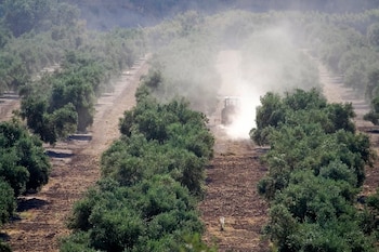 Mancozeb. La publicación de la