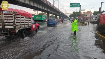 Elementos de tránsito ayudan a