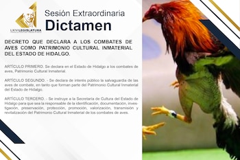 El dictamen fue aprobado con