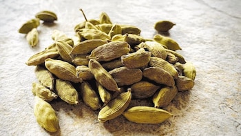 ¿Cuáles son las propiedades curativas