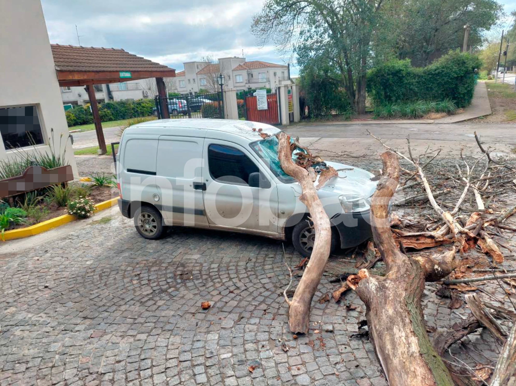 El hecho ocurrió el 11 de septiembre de 2023, cuando un árbol ubicado en la vereda pública cayó sobre un vehículo estacionado frente a la entrada de un barrio cerrado. (Poder Judicial)