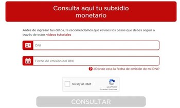 Consulta del bono en Perú