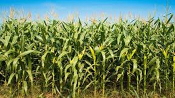 En 2019 la recaudación por