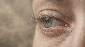 a alta concentración de micropartículas de polvo del Sahara suspendidas en el aire es un agente irritante que puede provocar conjuntivitis temporal, ardor y enrojecimiento ocular en la población - Visuales IA.