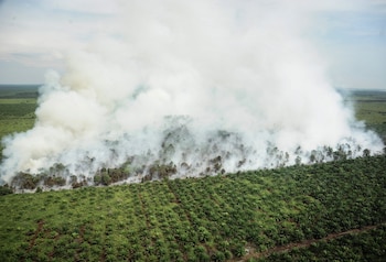 Fotografía facilitada el 26 de