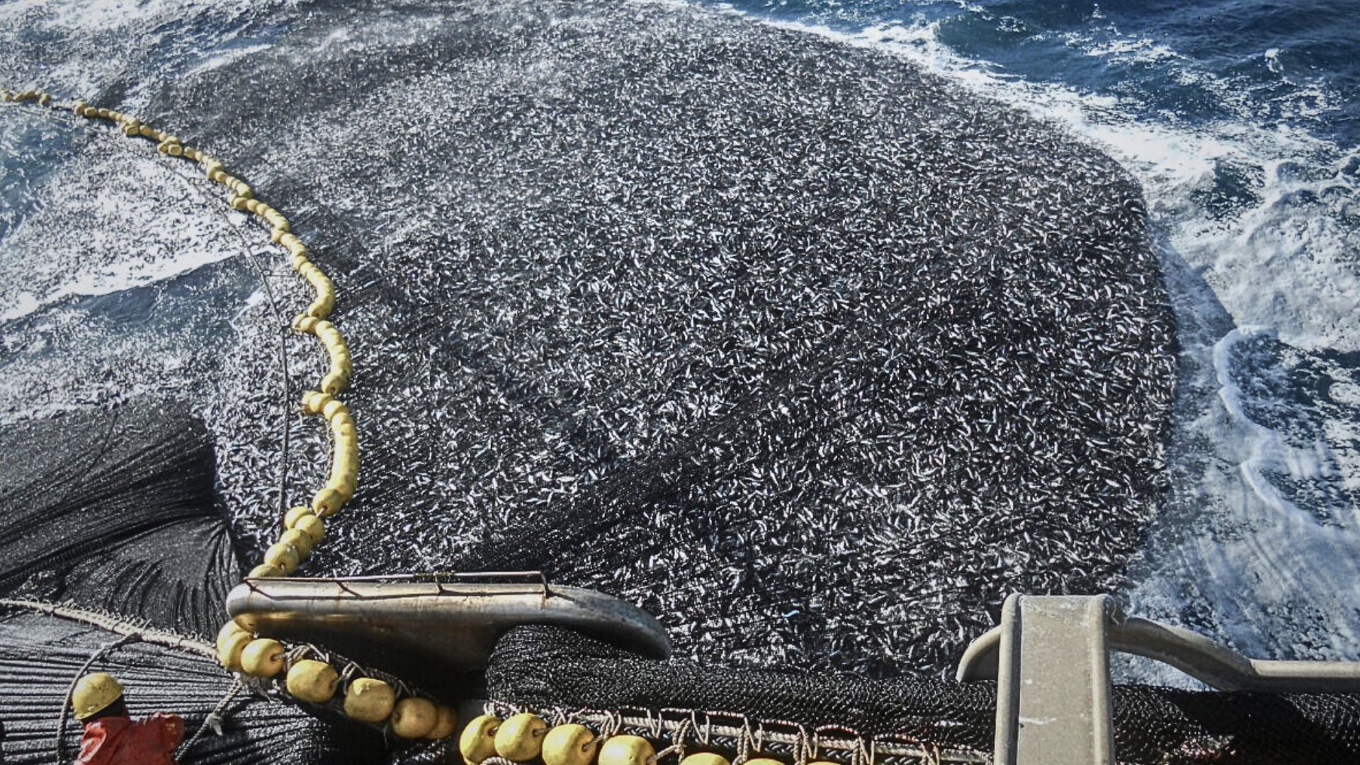 La industria pesquera podría beneficiarse de la retroactividad benigna del decreto, pese a que once empresas recibieron en Paracas multas por más de 12 millones de soles entre 2020 y 2021.