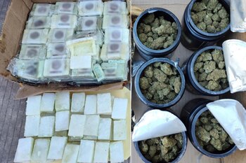 Los aseguramientos se realizaron en