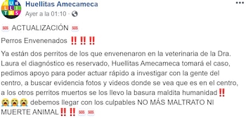 Huellitas Amecameca denunció la situación en sus redes sociales (Foto: Facebook)