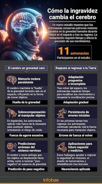 Infografía muestra a un astronauta con un cerebro brillante dentro del casco, rodeado de estrellas, con información sobre la ingravidez y el cerebro.