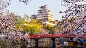 Algunos visados para Japón no