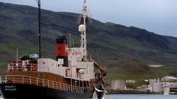 Islandia volverá a permitir la