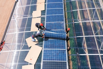 Un avance en el reemplazo