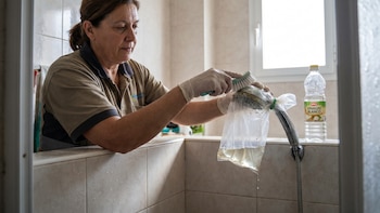 Cómo quitar el sarro de la regadera con vinagre