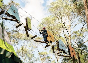 Kombai Park ofrece atracciones extremas,