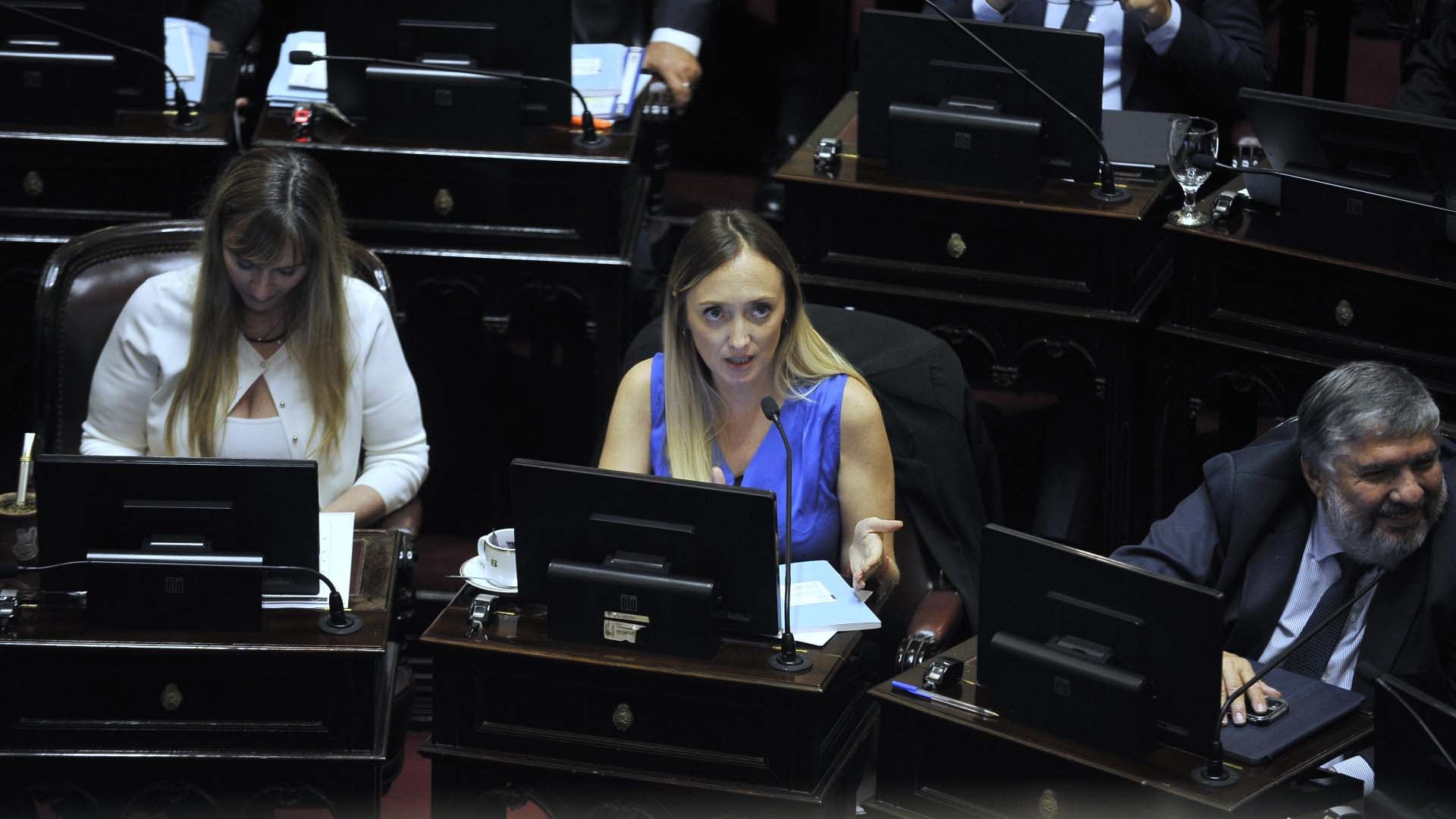 La senadora cristinista Anabel Fernández Sagasti (Gustavo Gavotti)