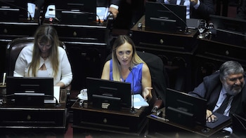 Sesión en el senado por la suspensión de las PASO