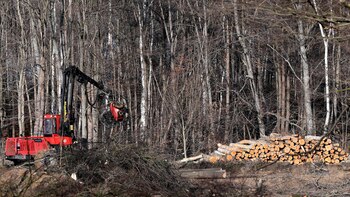 La Comisión Europea propone prorrogar