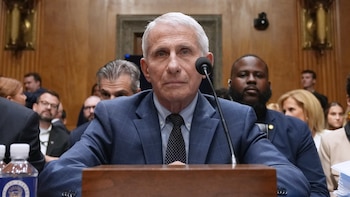 Caso Anthony Fauci: las 4 claves del conflicto en el Senado de EE. UU.