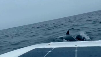 Waddington expresó su temor de