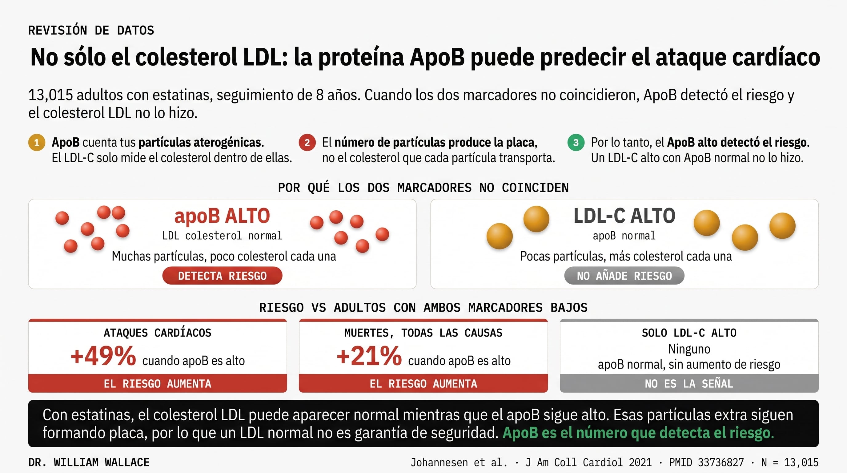 La infografía explica que la proteína ApoB predice el riesgo de ataque cardíaco y muerte por todas las causas en adultos con estatinas, un estudio de 13.015 personas. (Imagen Ilustrativa Infobae)