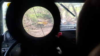 Ejército frusta atentado terrorista en la vía Panamerica: un taxi había sido cargado con explosivos por las disidencias de las Farc