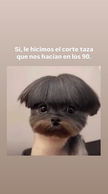 El particular corte de pelo de Arturo, al estilo taza de los años 90, generó comentarios y humor por parte de la artista