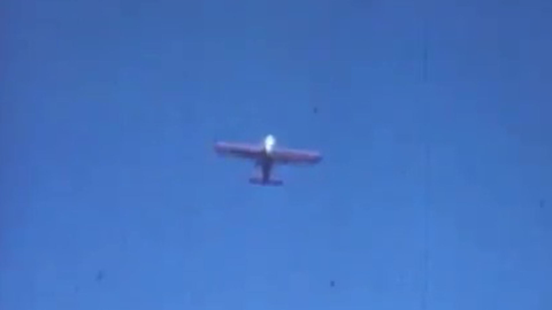 La operación de lanzar castores surgió como alternativa al retiro tradicional, que era peligroso y costoso para los animales y el personal