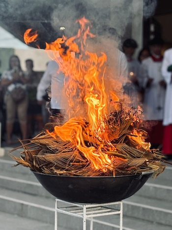 La ceniza utilizada en la