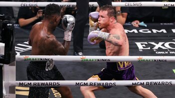 Canelo regresará al ring en