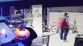 Video: sujeto llevaba un perro